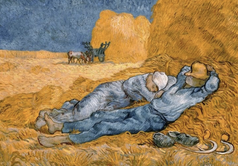 Libert&agrave;, capacit&agrave; e sviluppo: Martha Nussbaum